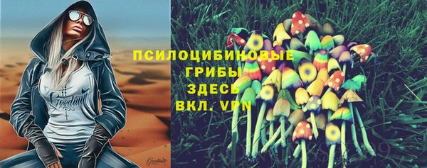 соль курить ск Снежногорск