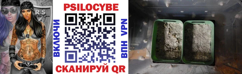 Галлюциногенные грибы Psilocybe  купить   Талдом 